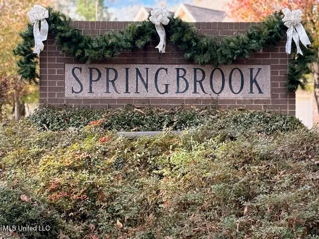 $619,824 | 717 Thomas Lane, Madison, MS 39110