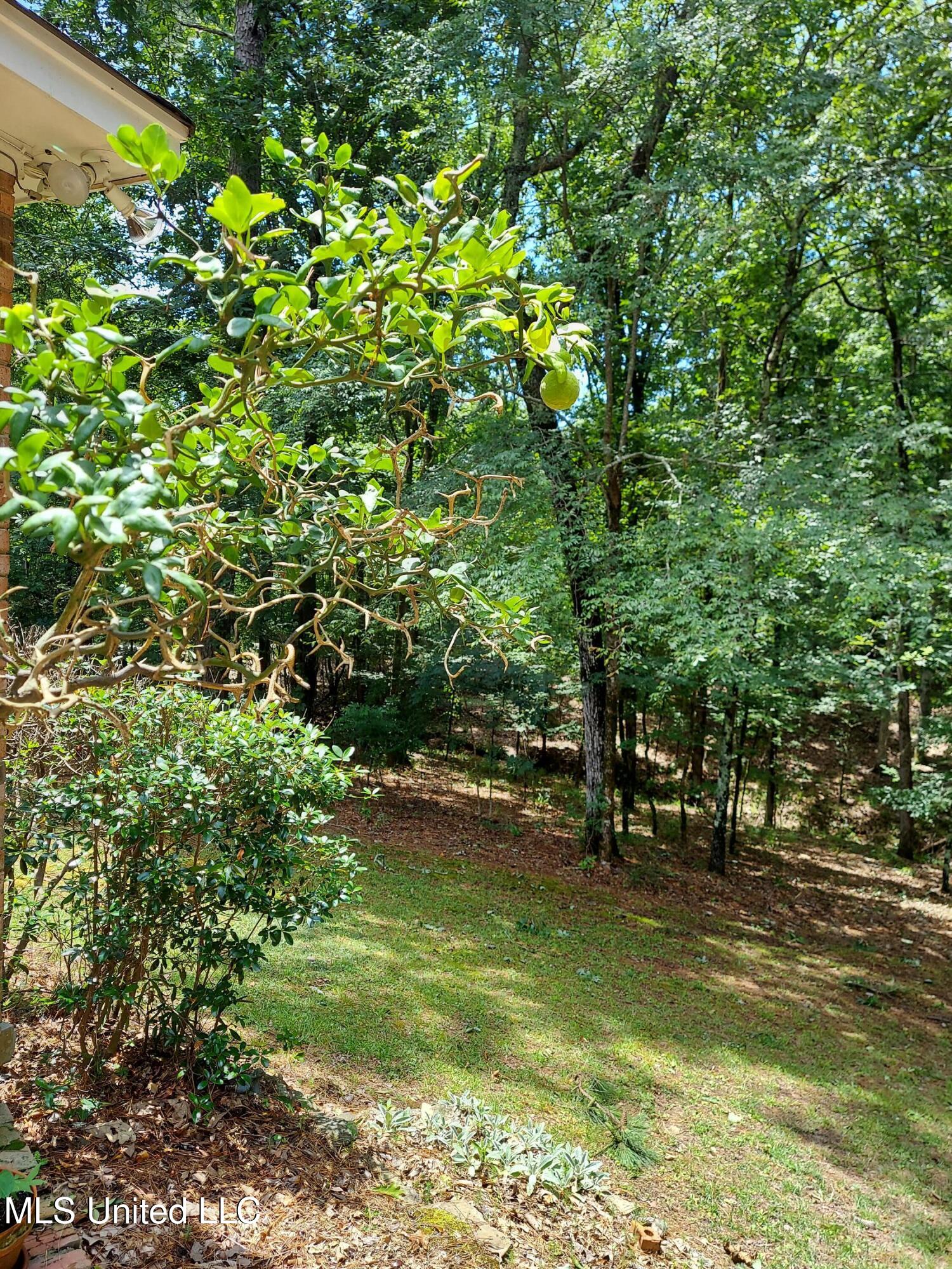 717 Thomas Lane Madison, MS 39110 - Photo 5 of 11 20230616_121238