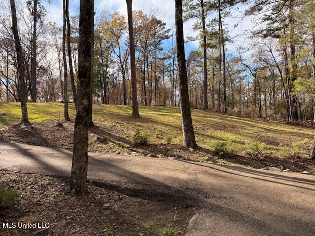 717 Thomas Lane Madison, MS 39110 - Photo 7 of 11 IMG_1401