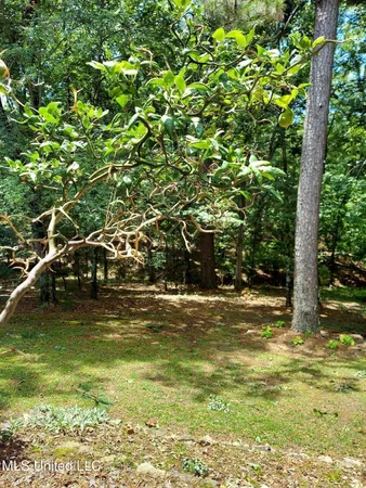 $619,824 | 717 Thomas Lane, Madison, MS 39110