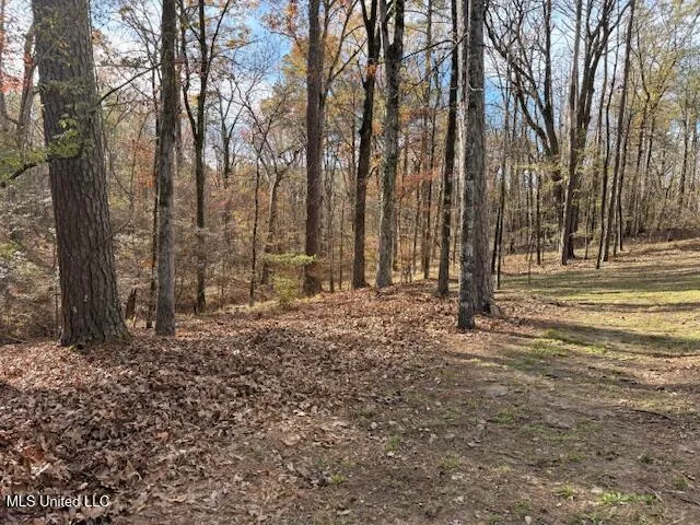 $619,824 | 717 Thomas Lane, Madison, MS 39110