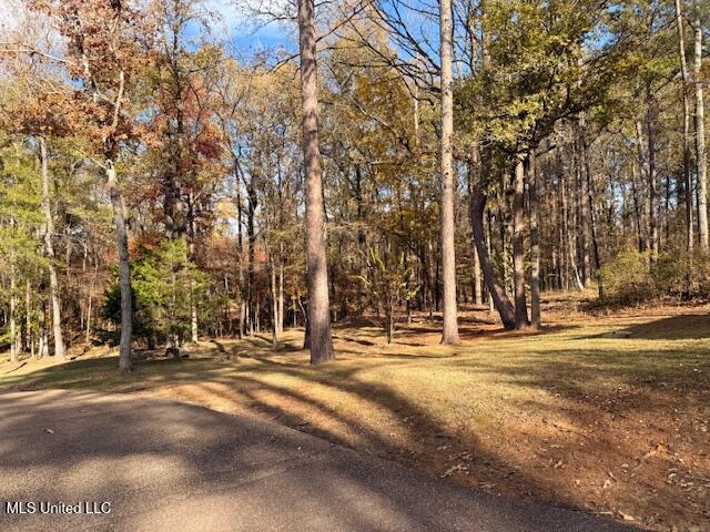 717 Thomas Lane Madison, MS 39110 - Photo 10 of 11 IMG_1396