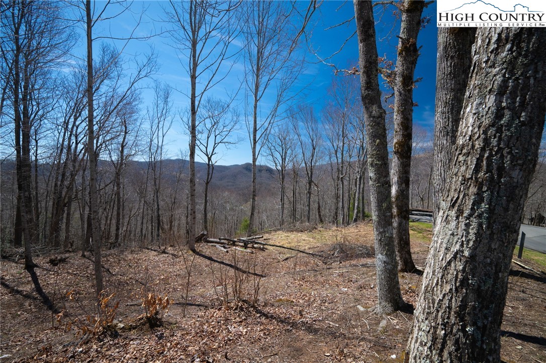 Lot 80 Bear Paw Road Elk Park, NC 28622 - Photo 13 of 19