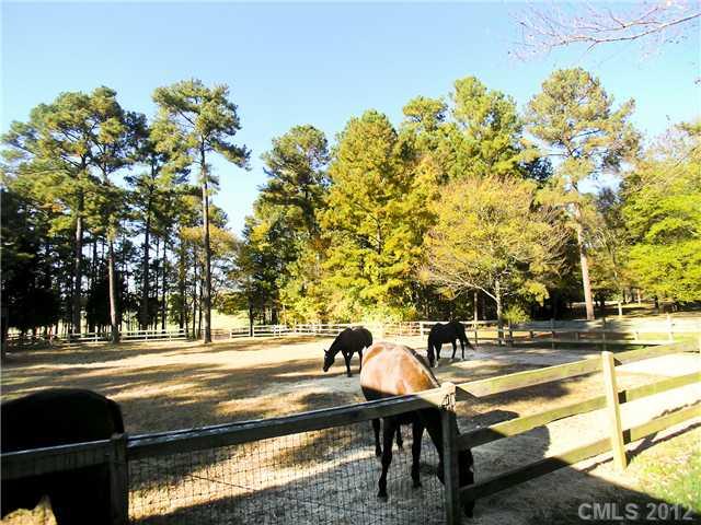 9064 Stacy Howie Road Indian Land, SC 29707 - Photo 1 of 16 a view of a swimming pool with a patio