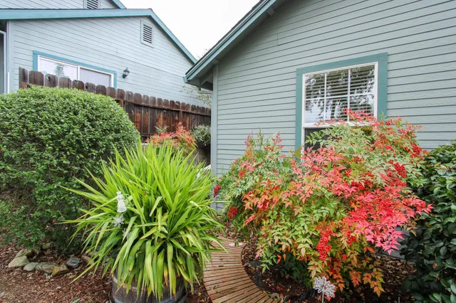a view of a back yard of the house