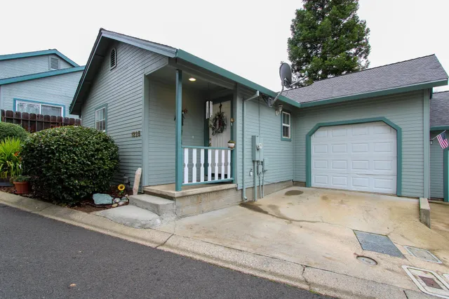 view of a flower pot