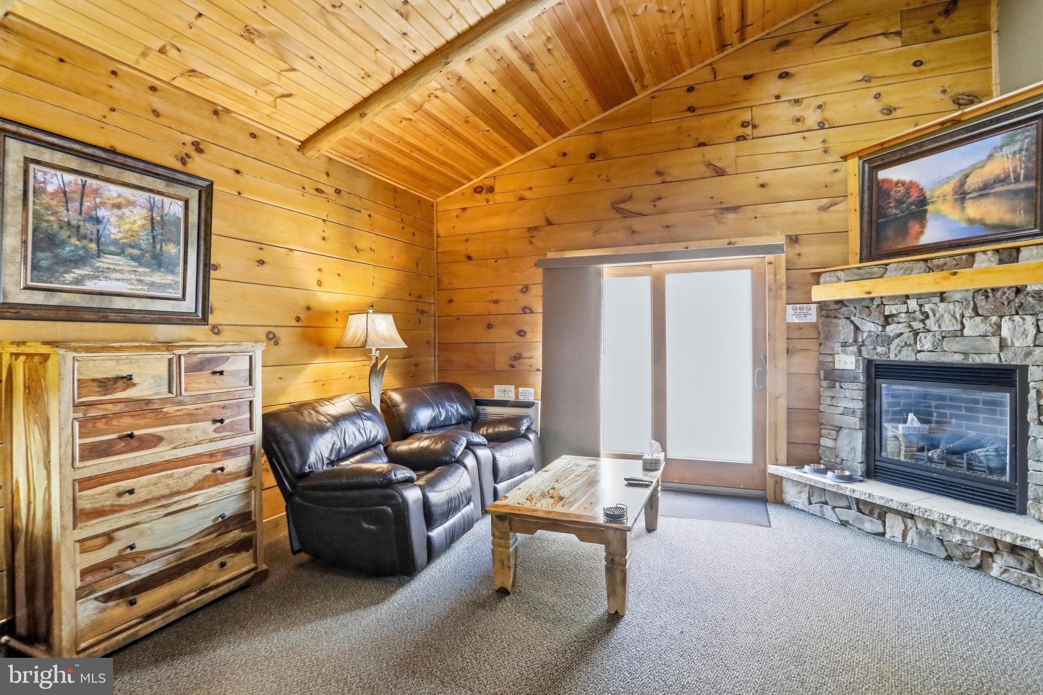 315 Cabin Lodge Road McHenry, MD 21541 - Photo 2 of 20