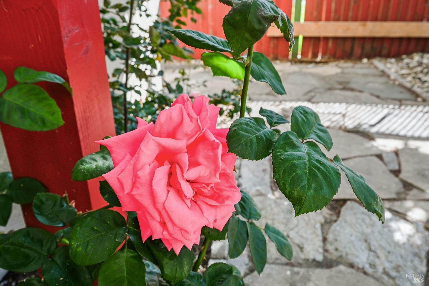 2824 Elk Lane Santa Rosa, CA 95407 - Photo 30 of 51