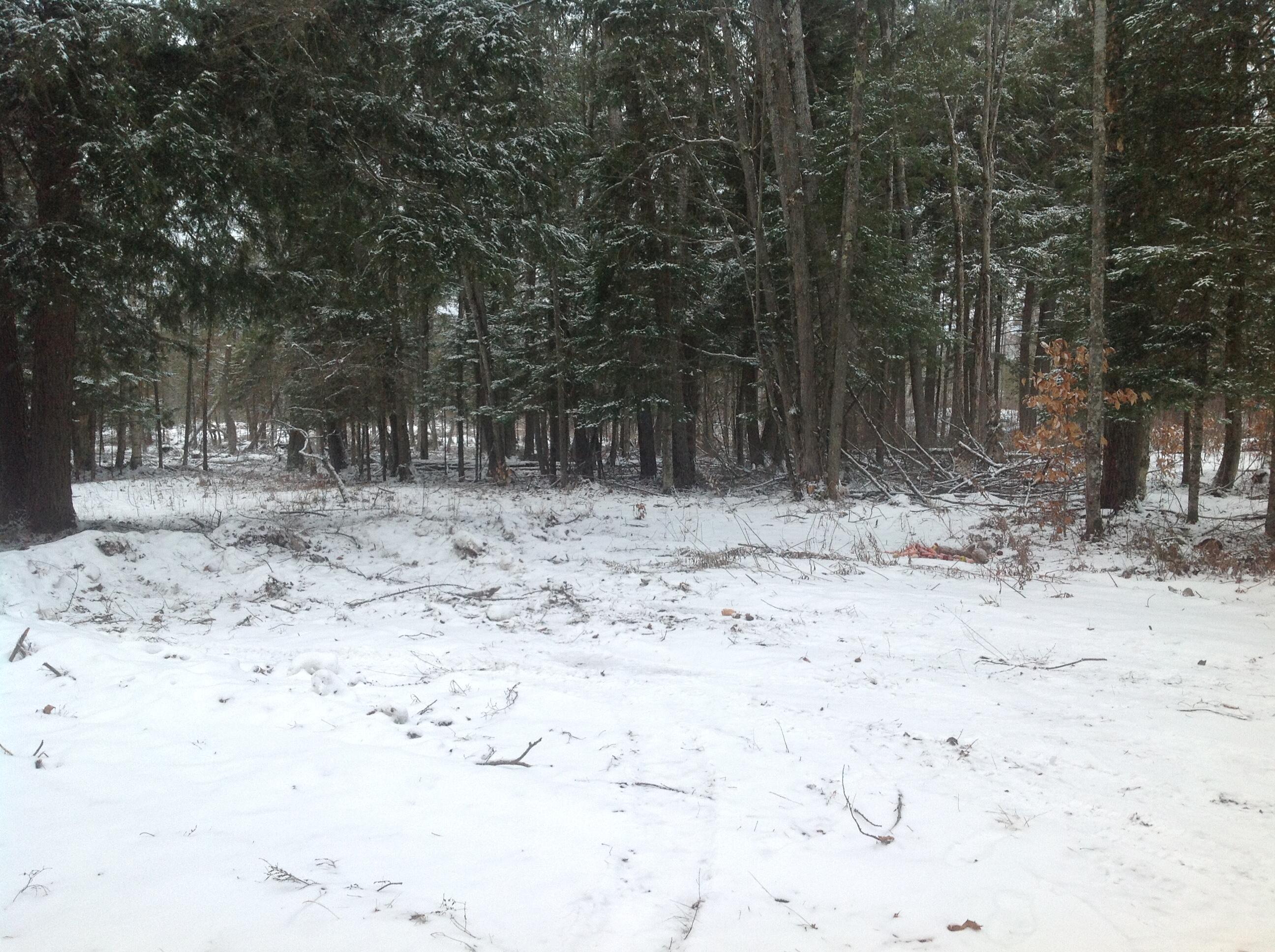 5824 Saint Ignace Road Hessel, MI 49745 - Photo 8 of 17 Gallery Image 8