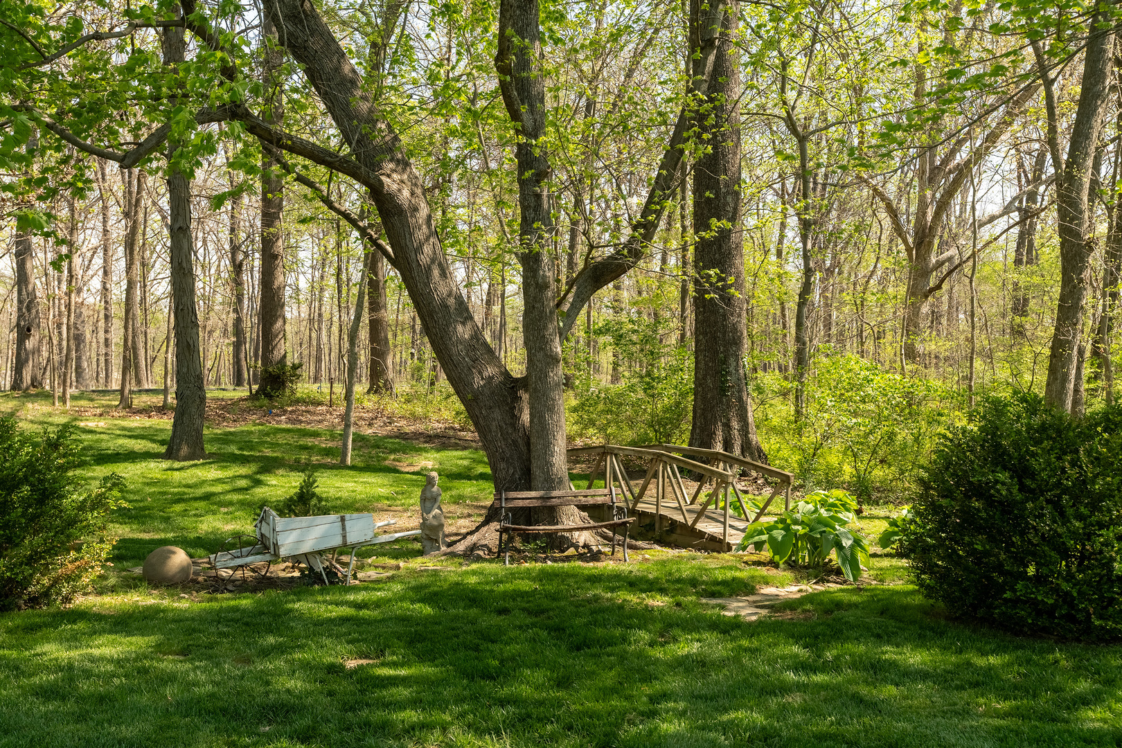 370 Woodlake Road Eldorado, IL 62930 - Photo 9 of 29