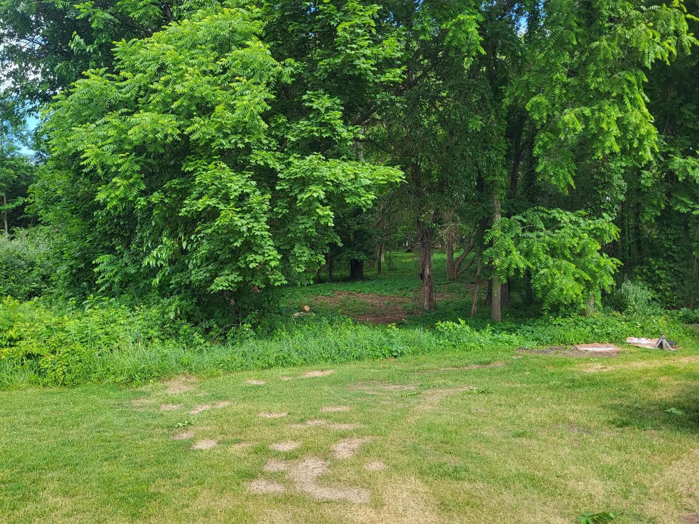 Ernest Street Brooklyn, MI 49230 - Photo 7 of 10 Partial Clearing