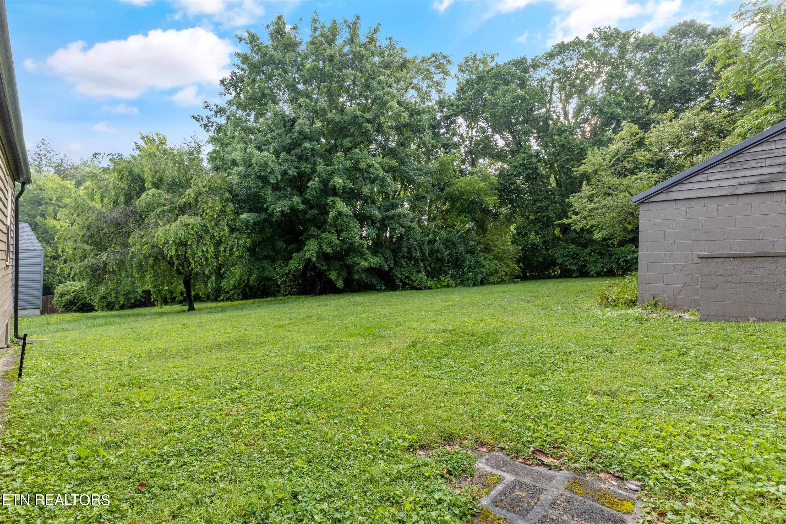 4310 Hayes Road Knoxville, TN 37912 - Photo 22 of 23 Backyard