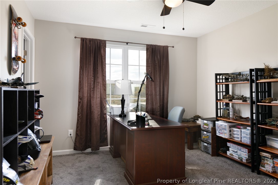 5932 Arabia Road Lumber Bridge, NC 28357 - Photo 17 of 32 Gallery Image 17