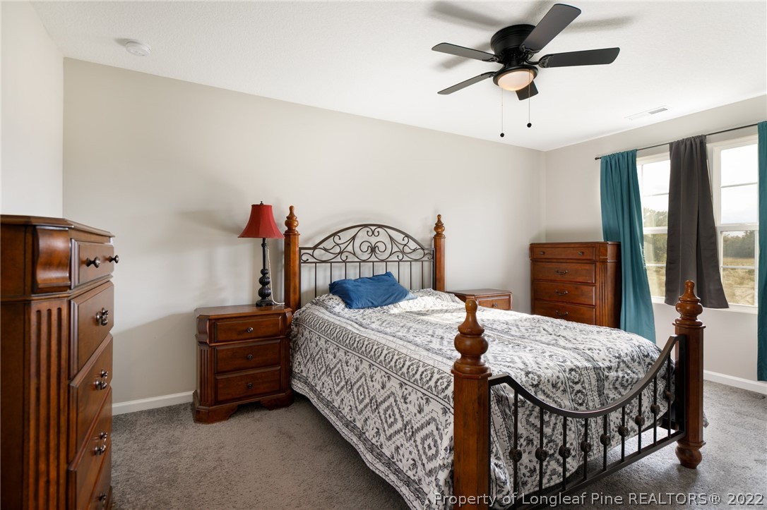 5932 Arabia Road Lumber Bridge, NC 28357 - Photo 19 of 32 Gallery Image 19