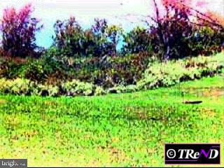 0 Calvary Road Oxford, PA 19363 - Photo 1 of 1 Gallery Image 1