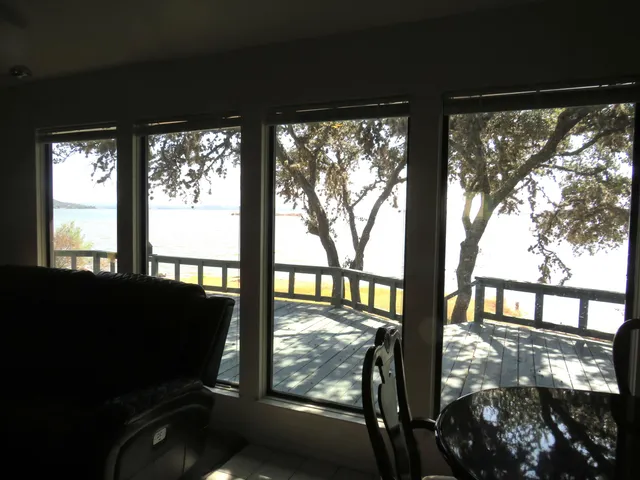 a view of lake from a tree