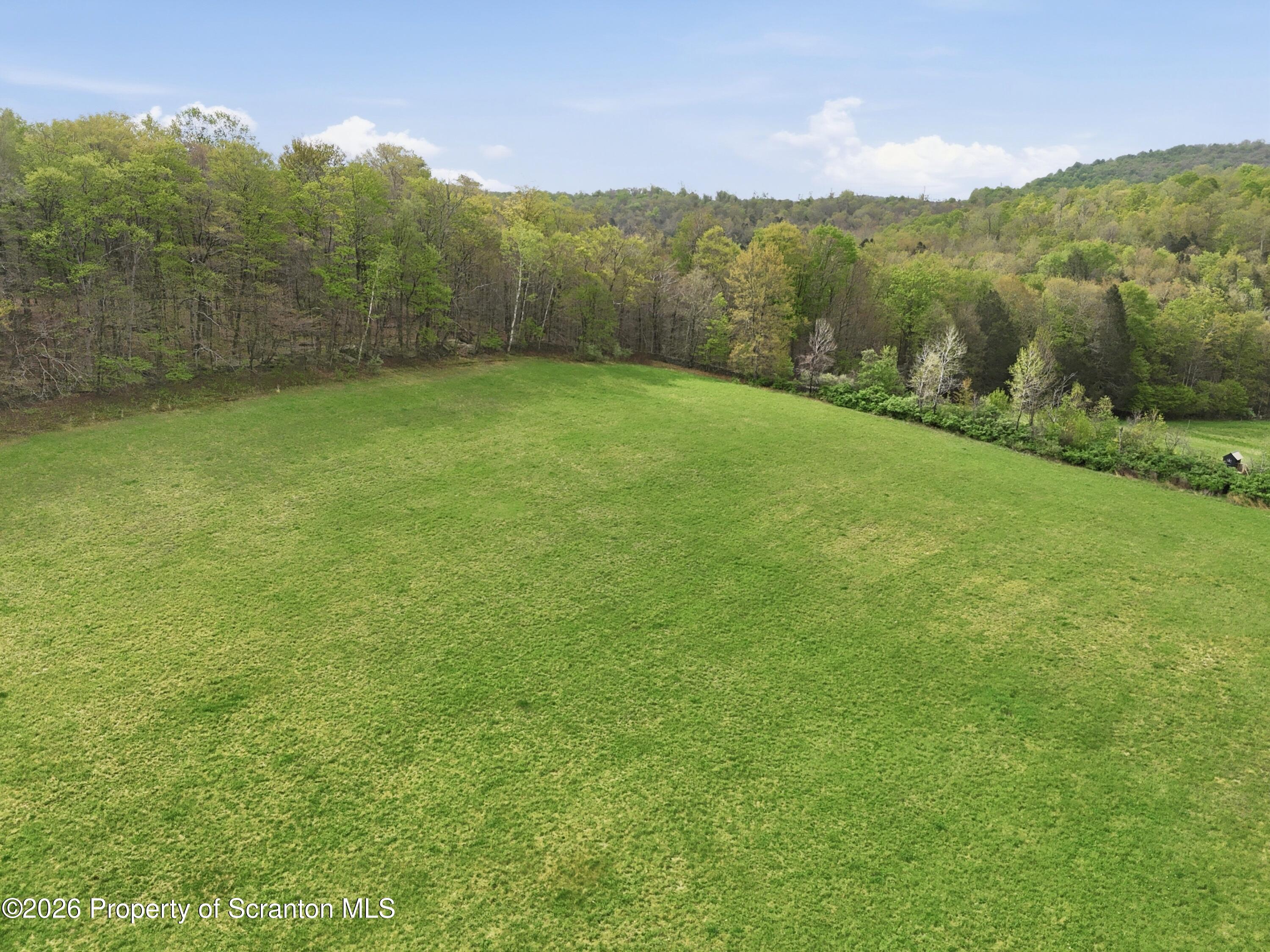 1034 Buckwheat Hollow Road Noxen, PA 18636 - Photo 5 of 10 photo__4767