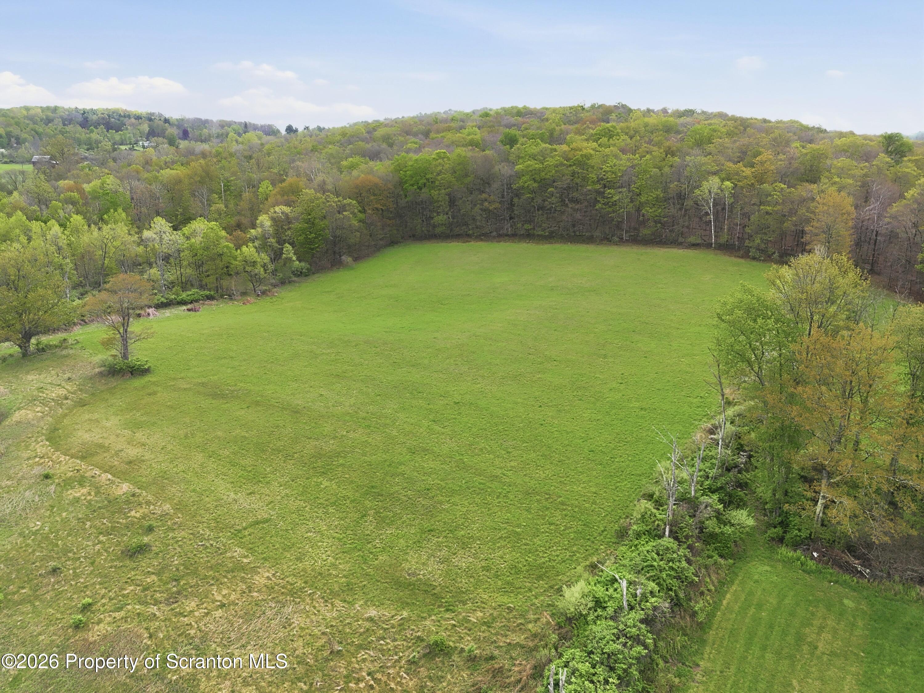 1034 Buckwheat Hollow Road Noxen, PA 18636 - Photo 6 of 10 photo__4768