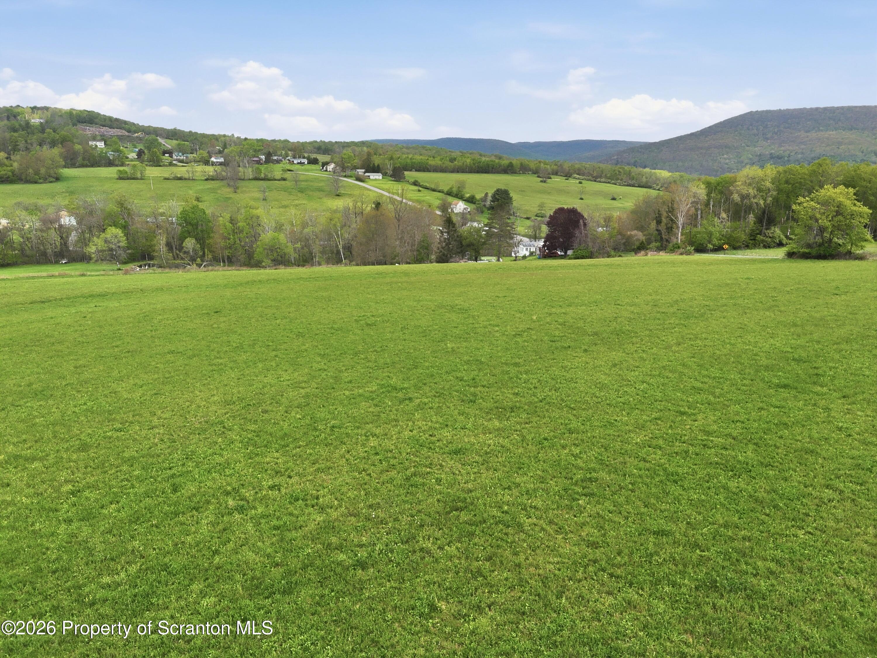 1034 Buckwheat Hollow Road Noxen, PA 18636 - Photo 8 of 10 photo__4770