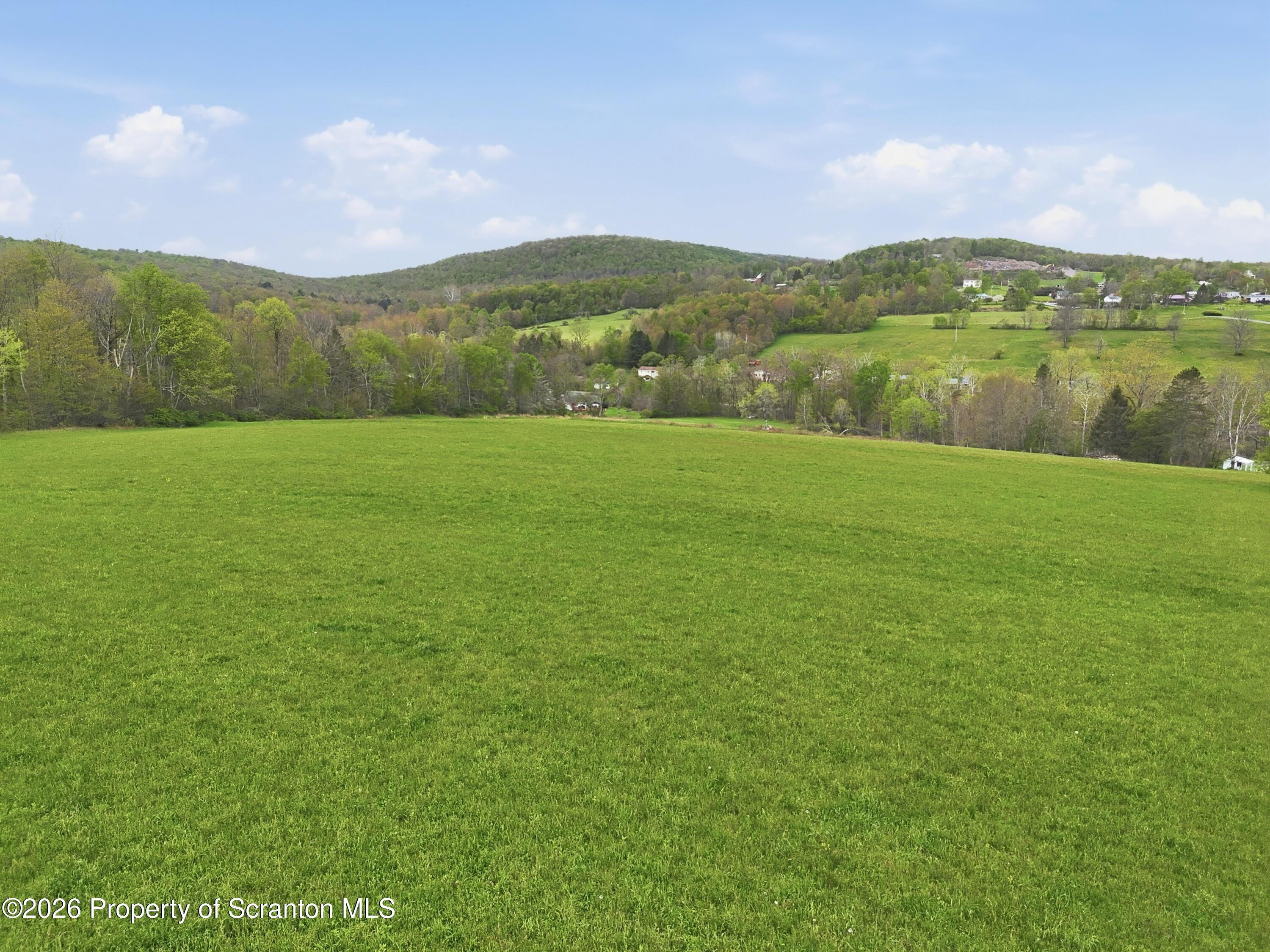 1034 Buckwheat Hollow Road Noxen, PA 18636 - Photo 9 of 10 photo__4771