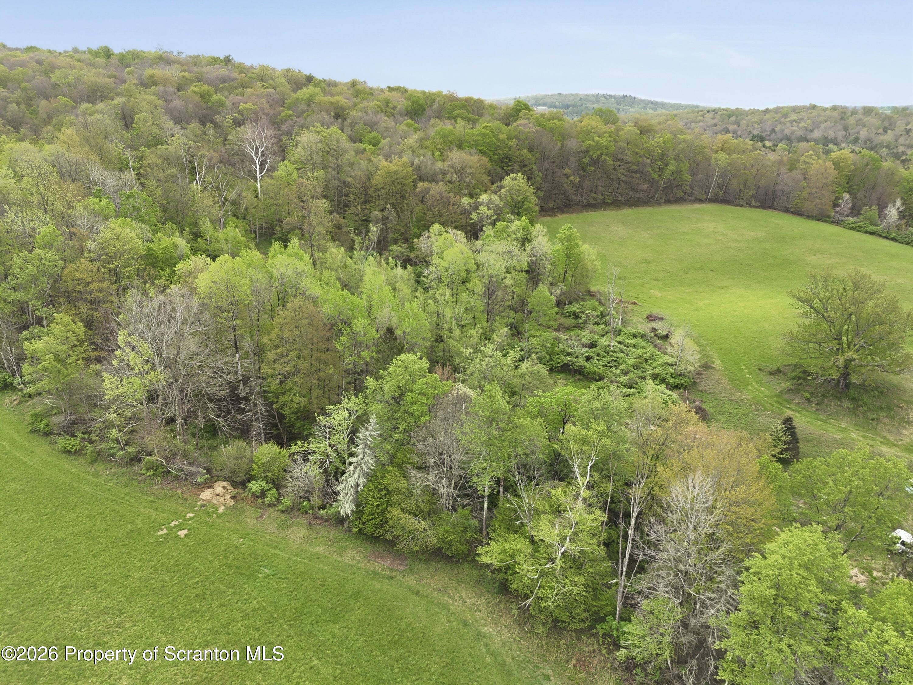 1034 Buckwheat Hollow Road Noxen, PA 18636 - Photo 10 of 10 photo__4772