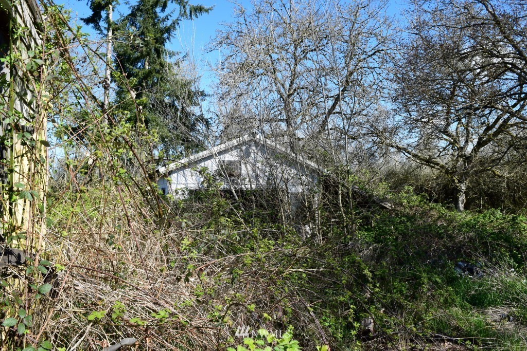 389 Tune Road Chehalis, WA 98532 - Photo 11 of 18 Gallery Image 11