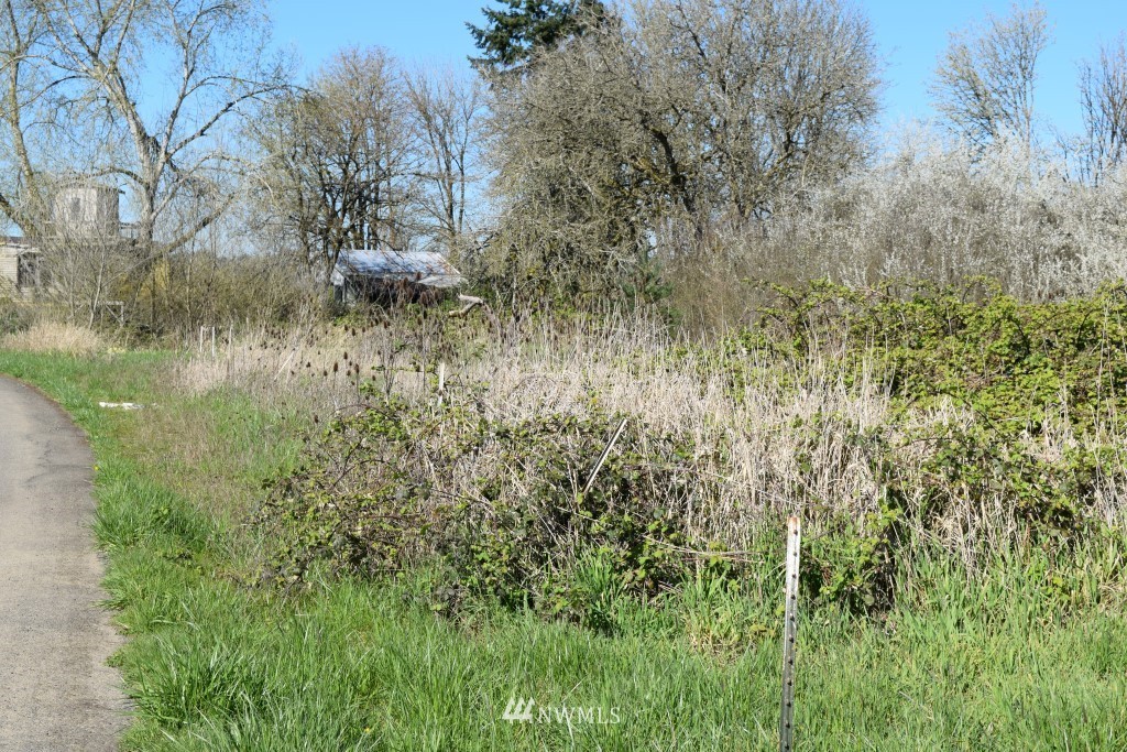 389 Tune Road Chehalis, WA 98532 - Photo 14 of 18 Gallery Image 14