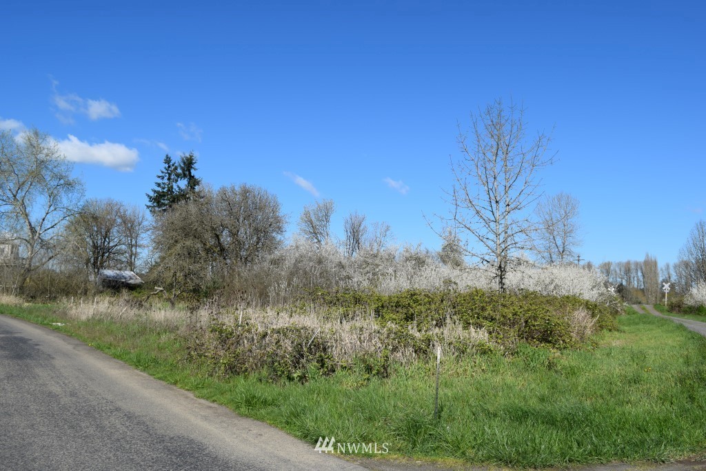389 Tune Road Chehalis, WA 98532 - Photo 17 of 18 Gallery Image 17