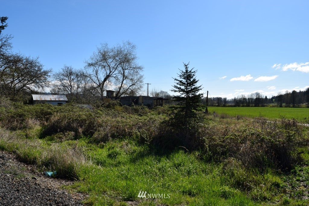 389 Tune Road Chehalis, WA 98532 - Photo 5 of 18 Gallery Image 5