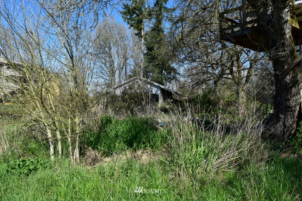 389 Tune Road Chehalis, WA 98532 - Photo 6 of 18 Gallery Image 6