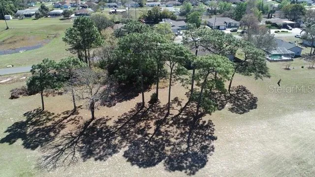 a view of a tree with a yard