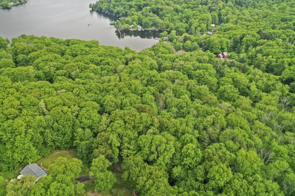 0 Vinton Road Sturbridge, MA 01566 - Photo 7 of 10 a view of a lush green forest with lots of trees