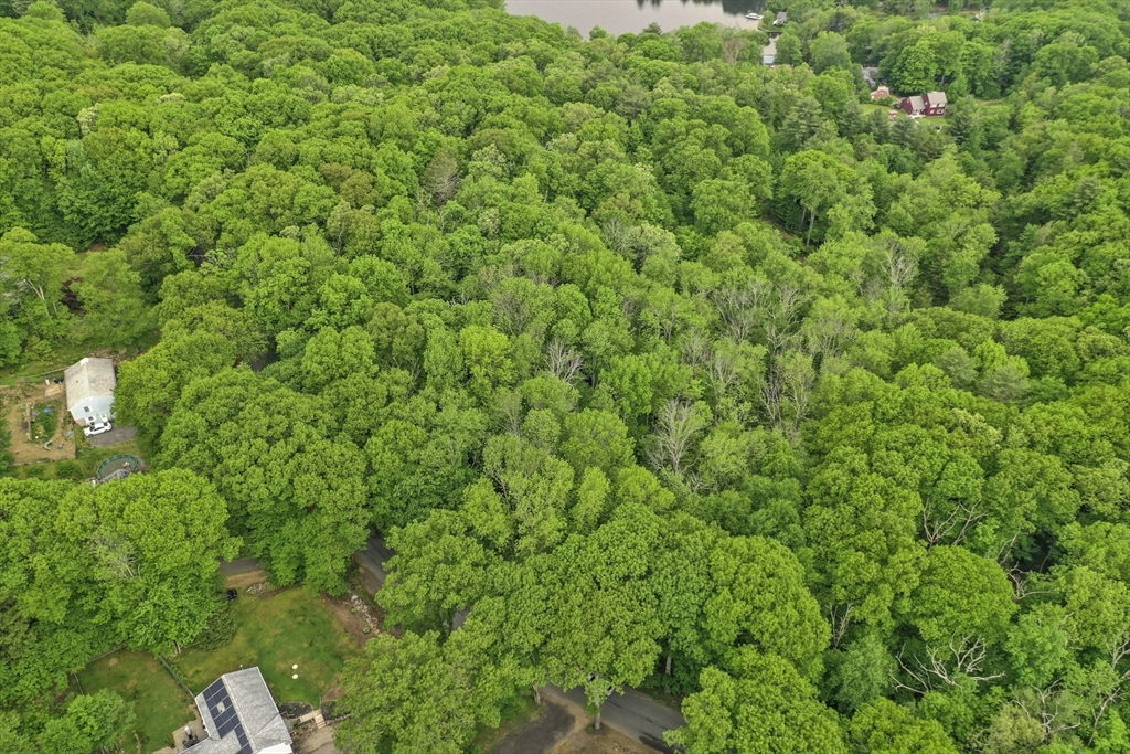 0 Vinton Road Sturbridge, MA 01566 - Photo 9 of 10 a view of a lush green forest with lots of trees