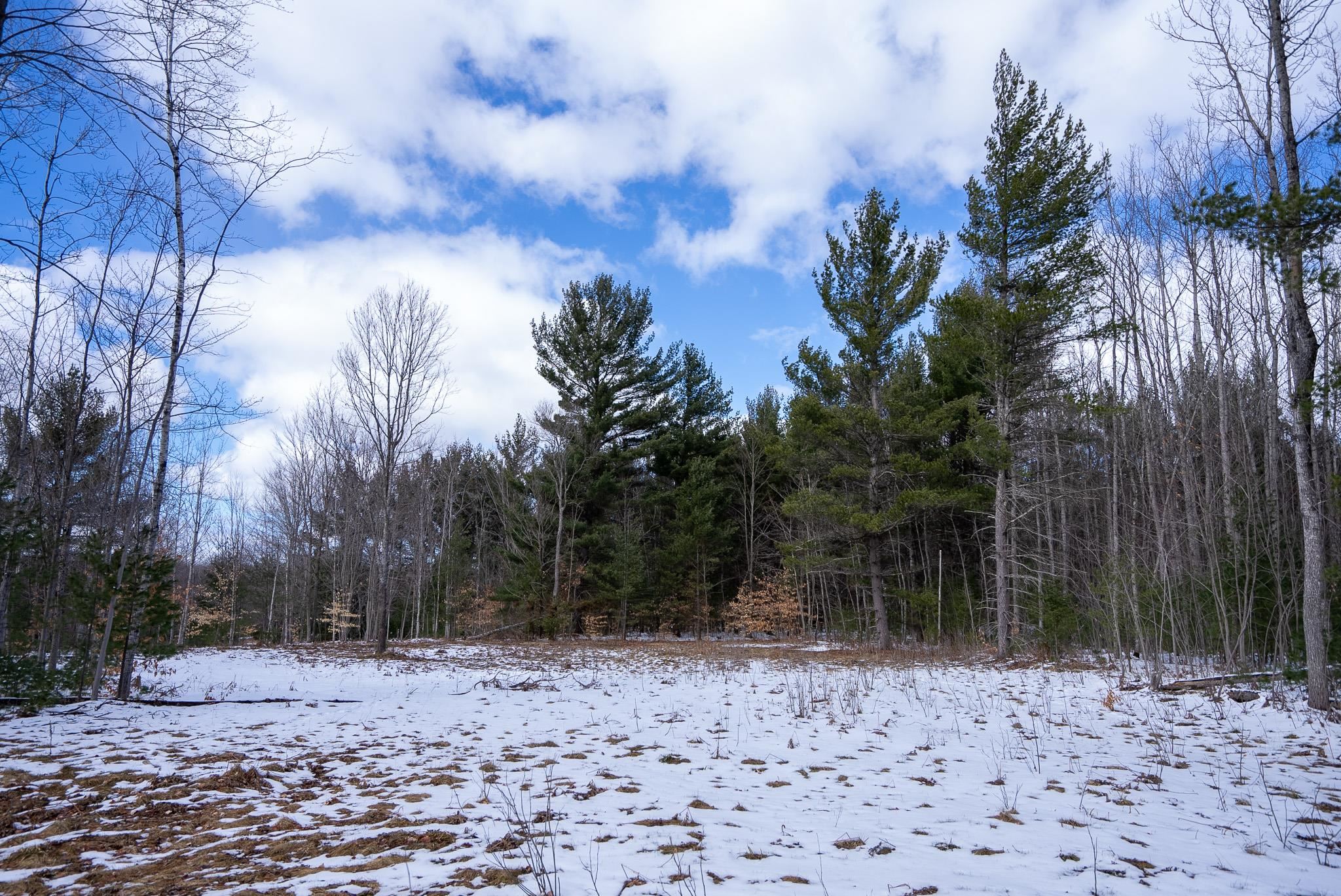 V/l Metzgar Road Northwest Kalkaska, MI 49646 - Photo 2 of 21