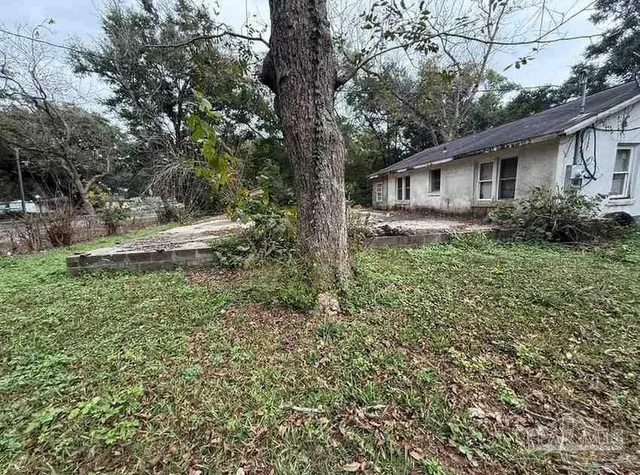 a backyard of a house with plants and large tree
