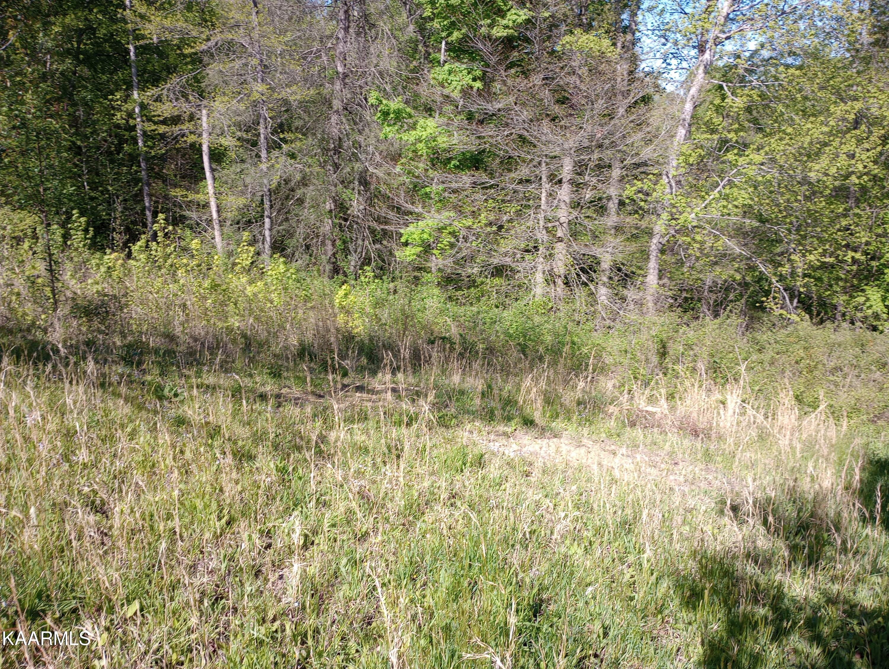 149 Hidden Valley Road Huntsville, TN 37756 - Photo 11 of 48 IMG_20230425_164827394