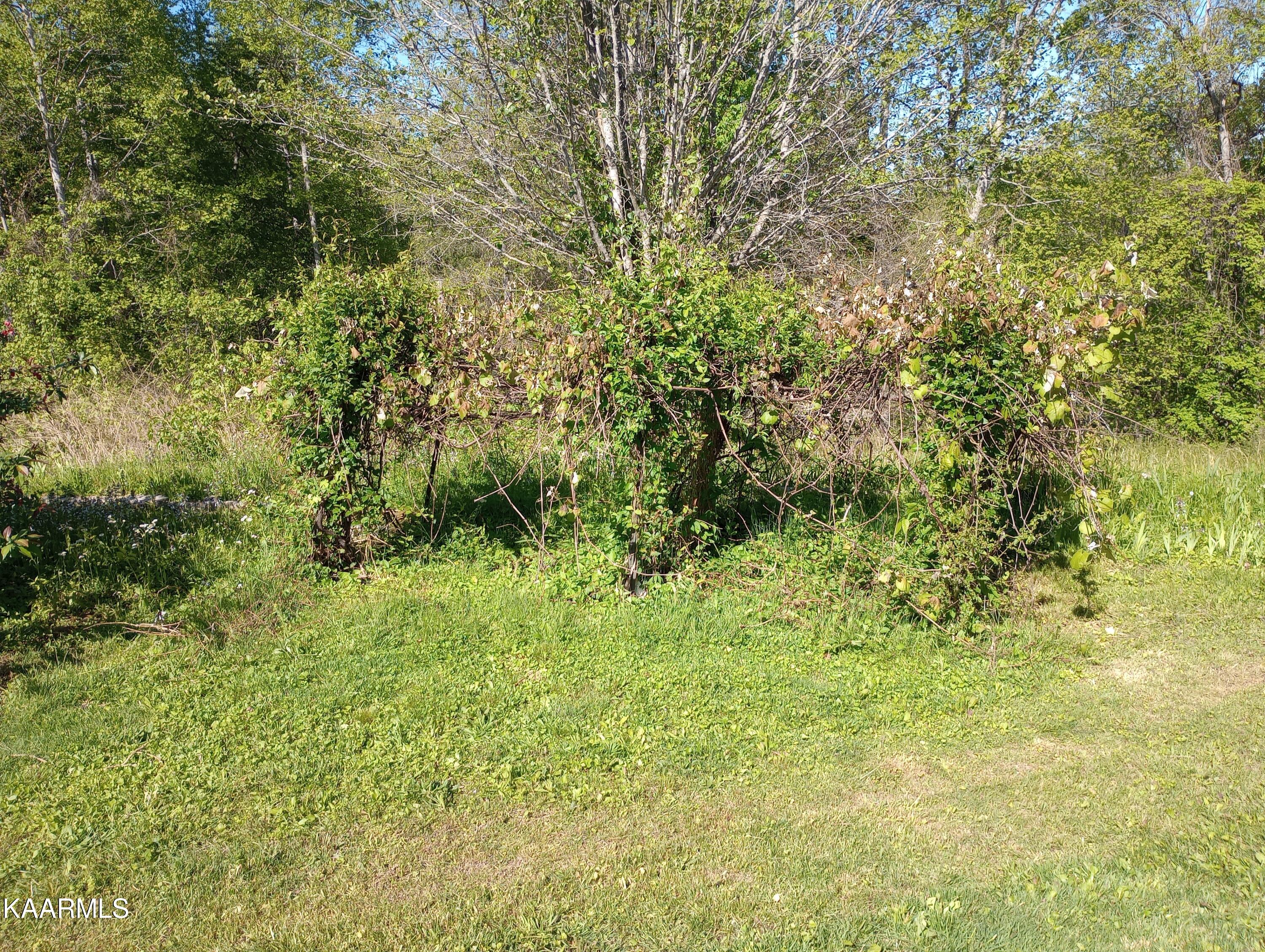149 Hidden Valley Road Huntsville, TN 37756 - Photo 12 of 48 IMG_20230425_164813639