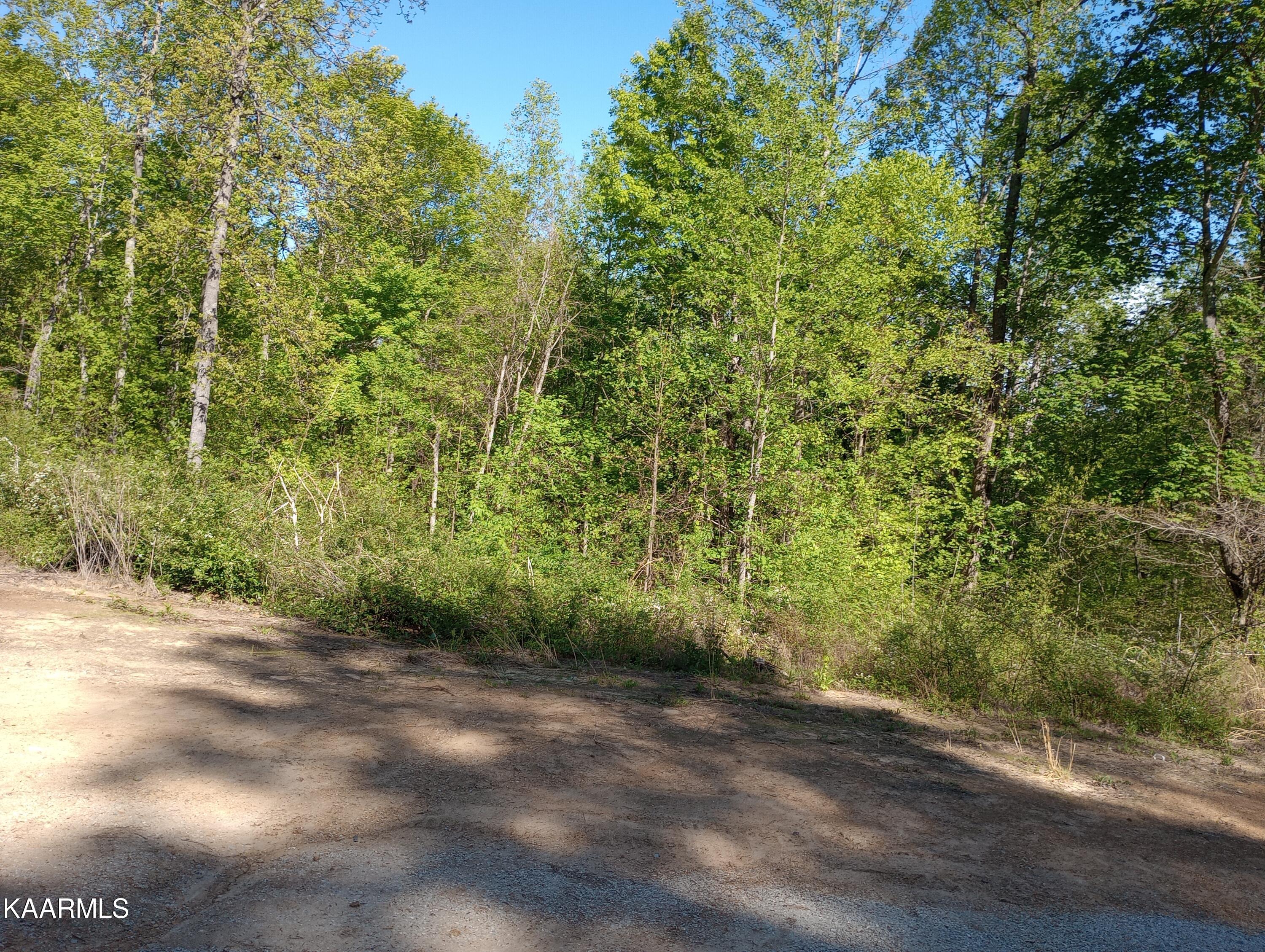 149 Hidden Valley Road Huntsville, TN 37756 - Photo 18 of 48 IMG_20230425_164421634