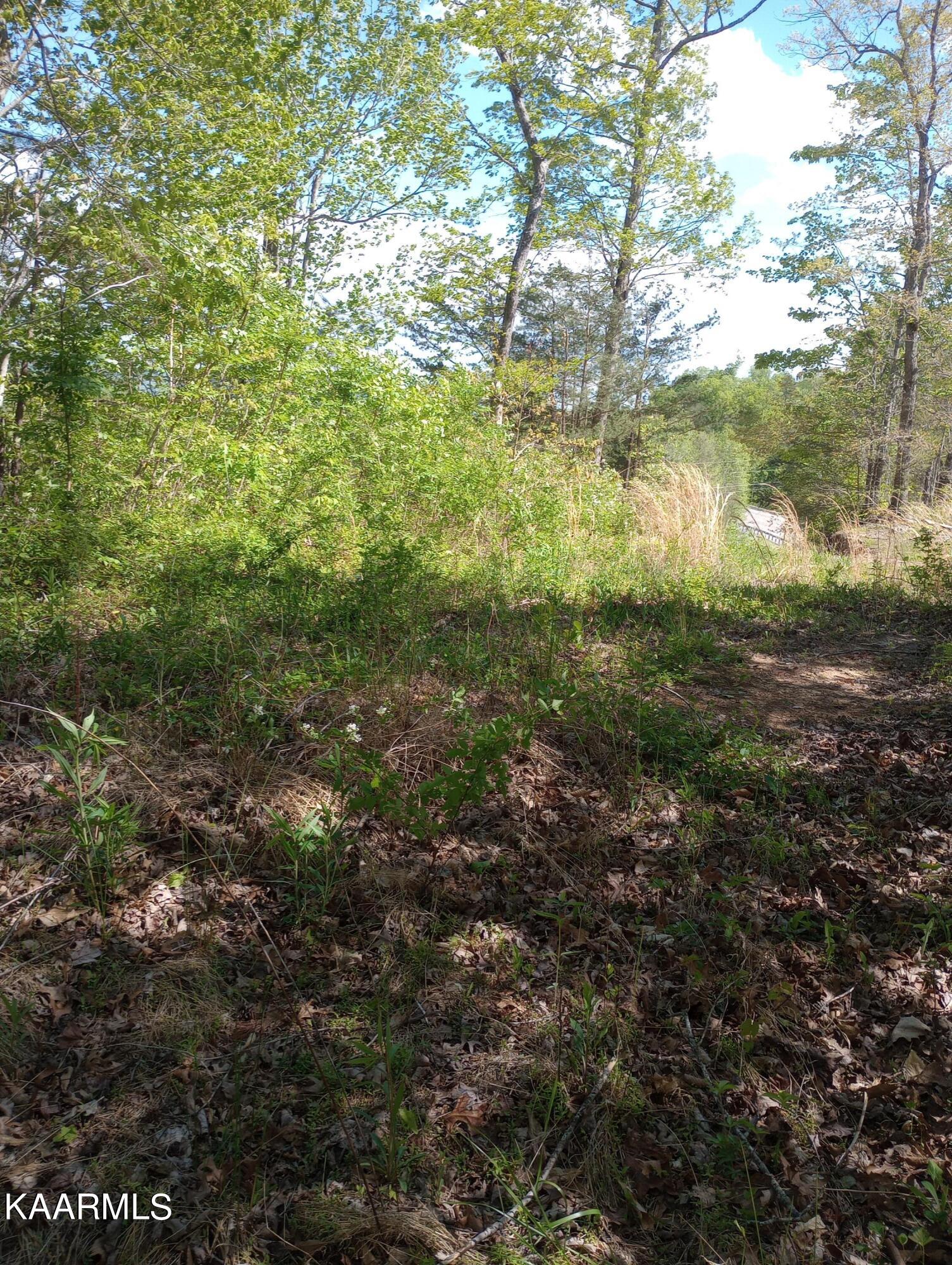 149 Hidden Valley Road Huntsville, TN 37756 - Photo 45 of 48 IMG_20230430_154301511
