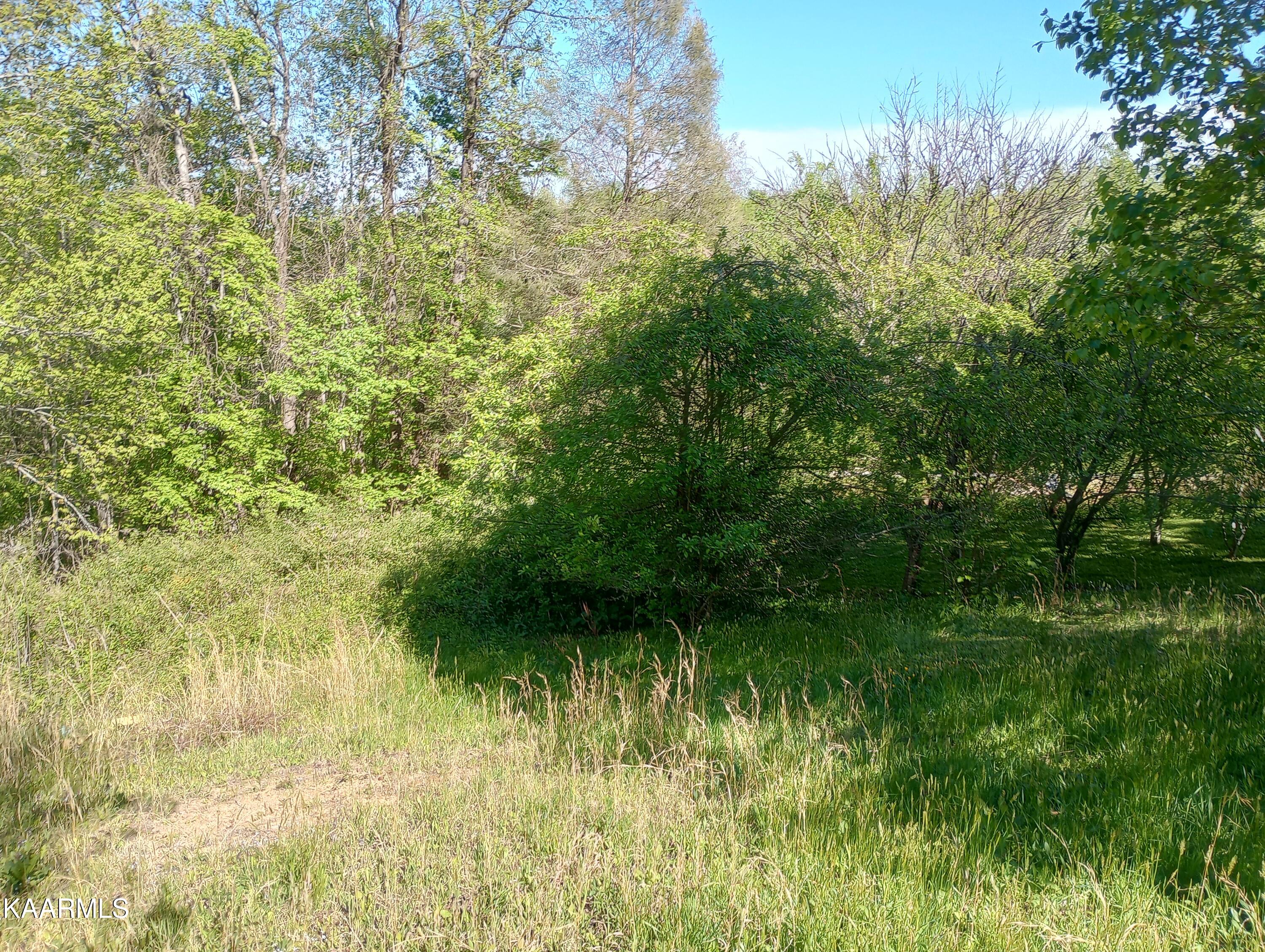 149 Hidden Valley Road Huntsville, TN 37756 - Photo 10 of 48 IMG_20230425_164839504_HDR