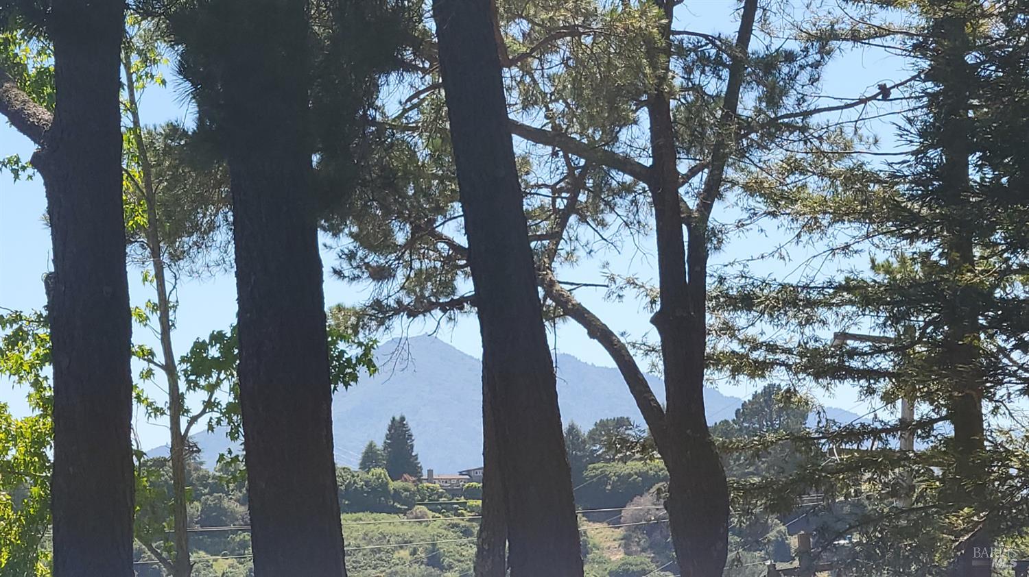 69 Dunfries Terrace San Rafael, CA 94901 - Photo 42 of 43 distant view of Mt. Tam