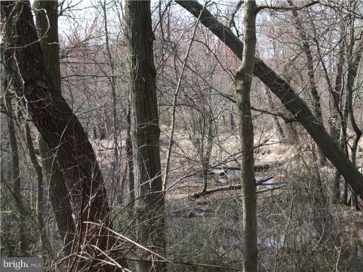 1010 Mount Laurel Road Hainesport, NJ 08036 - Photo 12 of 16 View