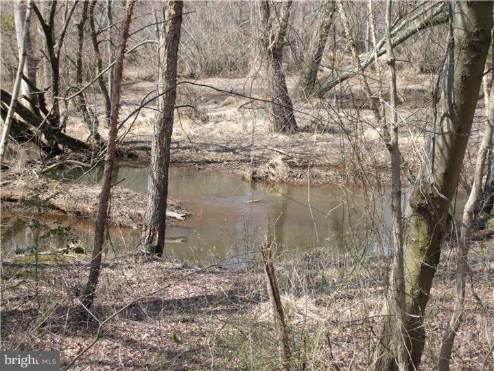1010 Mount Laurel Road Hainesport, NJ 08036 - Photo 13 of 16 View