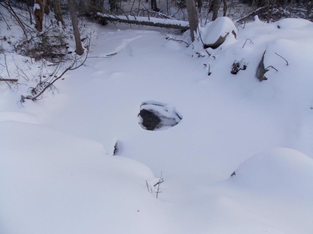 - Old Pond Hill Road Lunenburg, VT 05906 - Photo 22 of 31