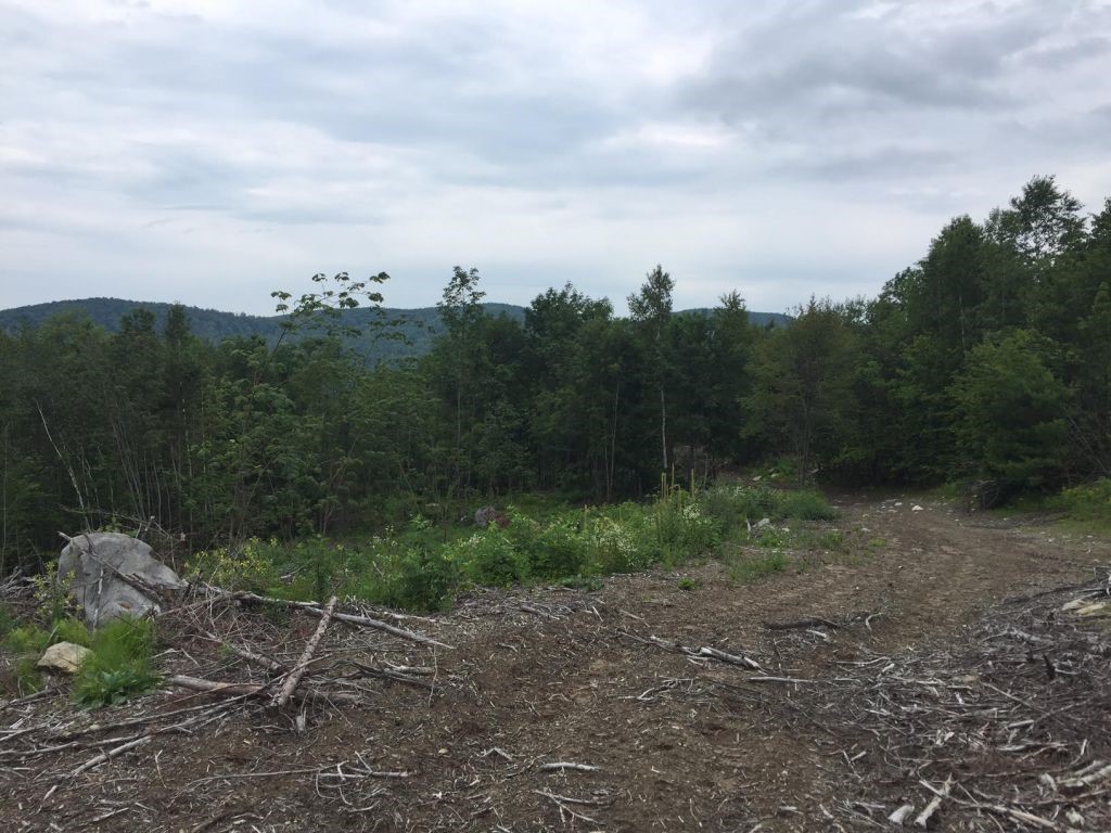 - Old Pond Hill Road Lunenburg, VT 05906 - Photo 8 of 31
