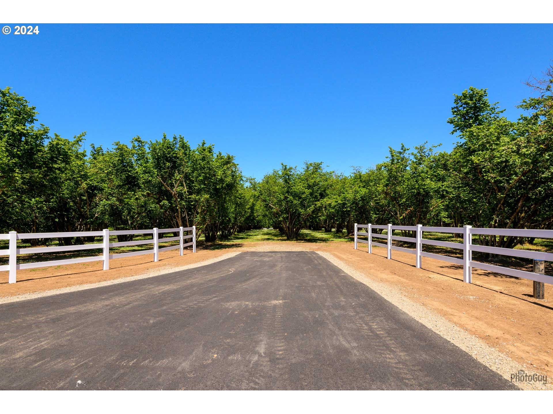 Shore Lane, Unit 1 Eugene, OR 97402 - Photo 11 of 16 a view of a swimming pool with a yard
