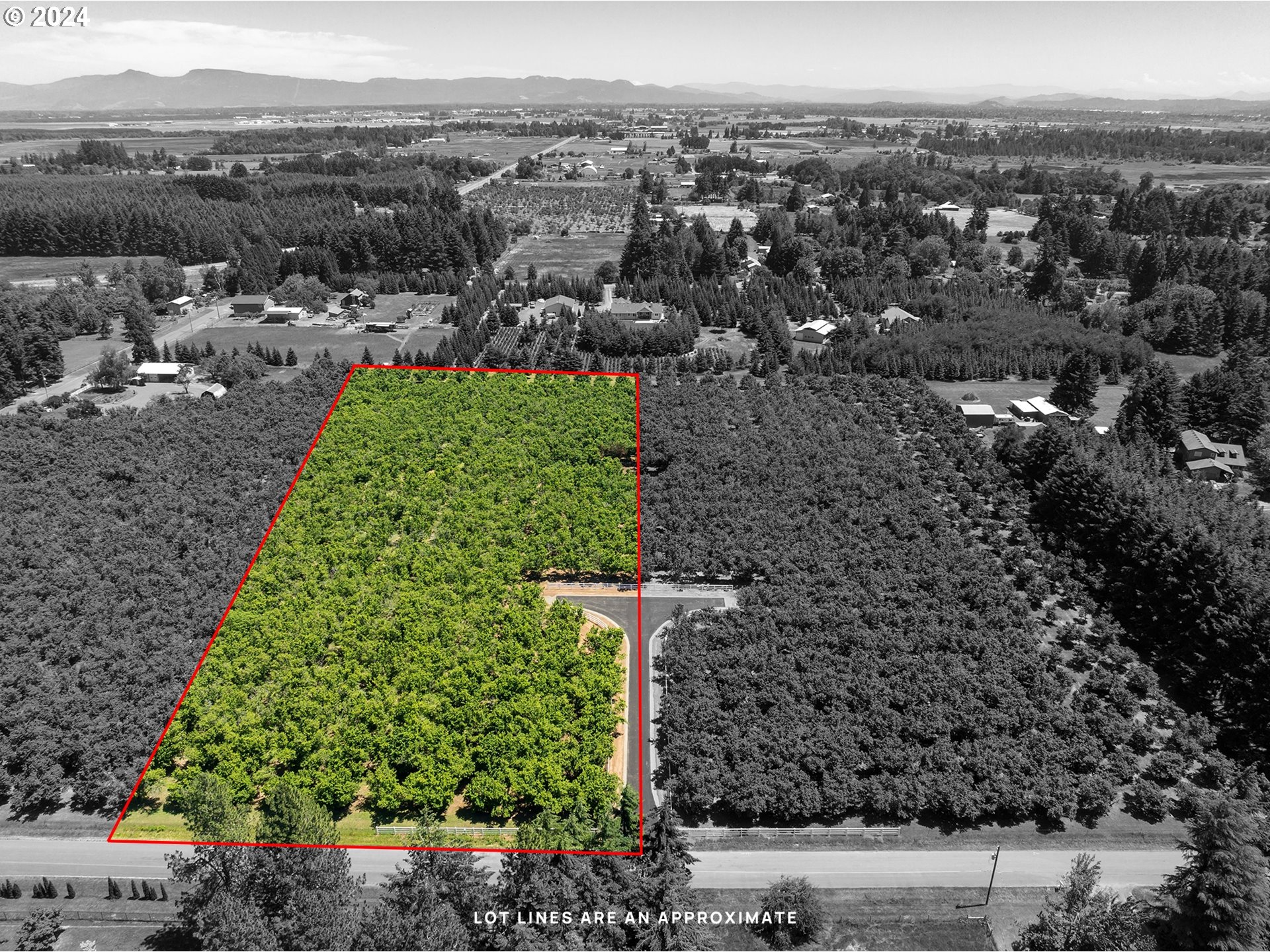 Shore Lane, Unit 1 Eugene, OR 97402 - Photo 16 of 16 a view of a garden with a mountain