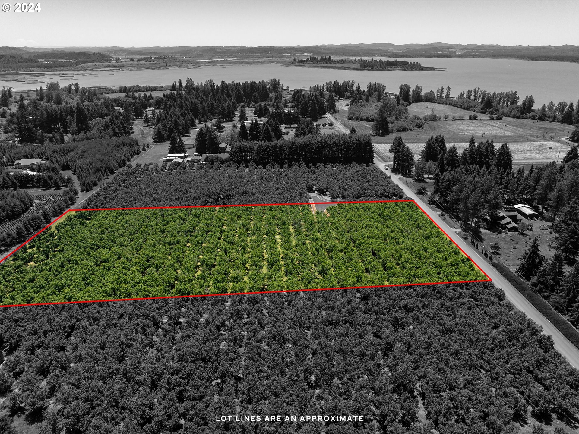 Shore Lane, Unit 1 Eugene, OR 97402 - Photo 3 of 16 a view of a garden