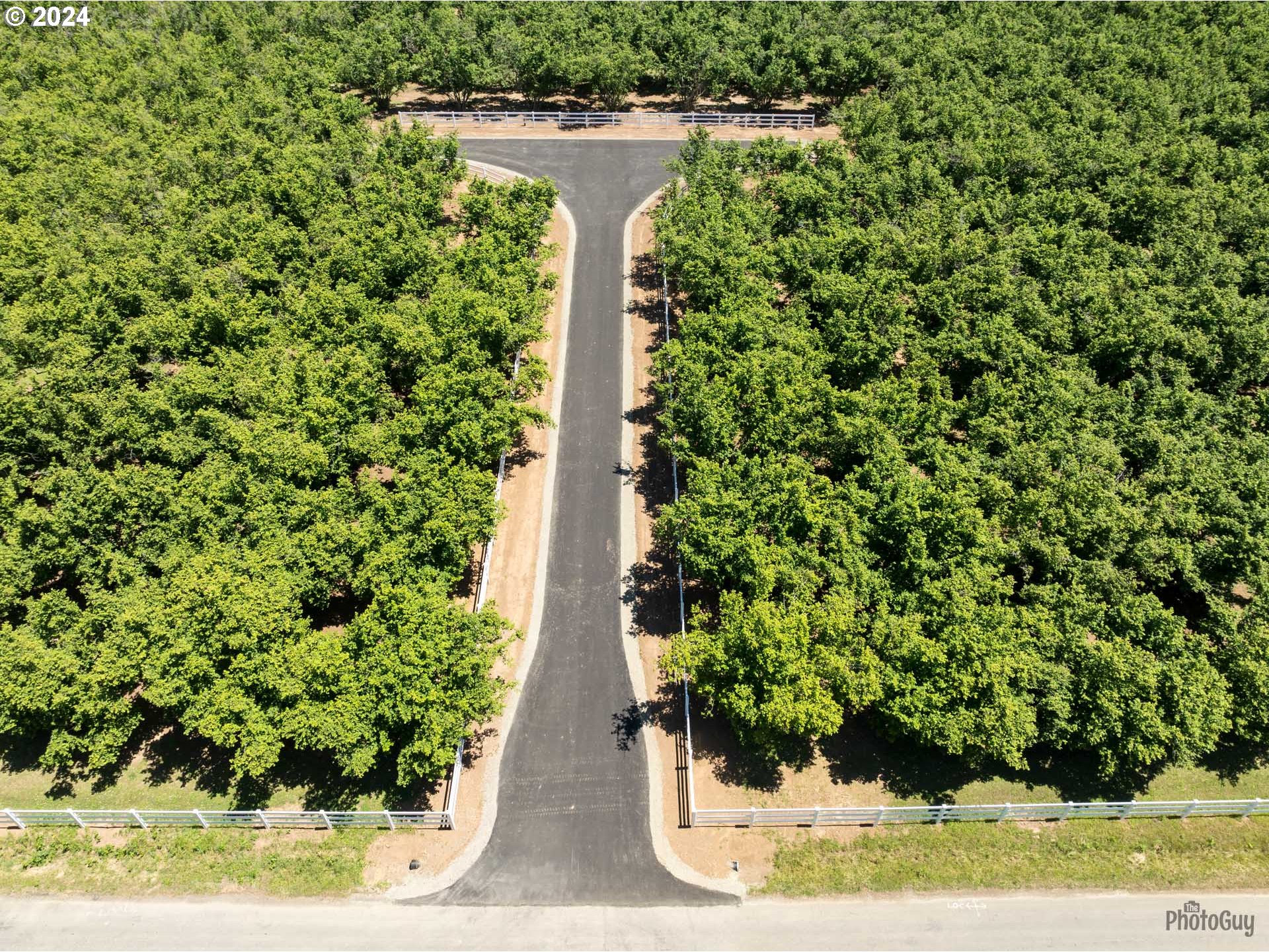 Shore Lane, Unit 1 Eugene, OR 97402 - Photo 6 of 16 a view of a yard with plants