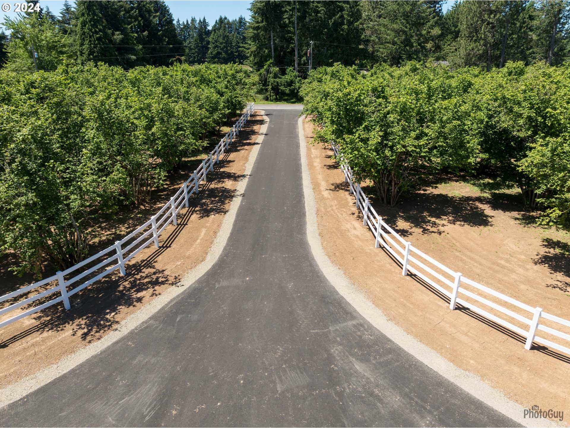 Shore Lane, Unit 1 Eugene, OR 97402 - Photo 8 of 16 a view of a pathway with a park